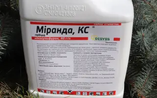 Міранда, КС