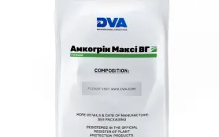 Амкогрін Максі