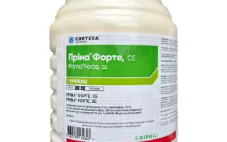 Пріма Форте, СЕ