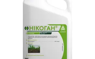 НІКОРН (NICORN)