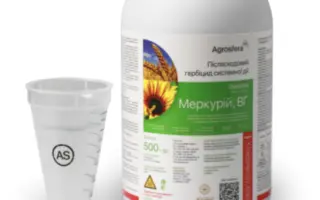 Меркурій, ВГ (трибенурон – метил, 750 г/кг)