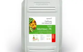 Молтено, РК