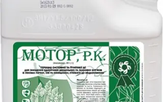 Мотор, РК (імазамокс, 40 г/л)