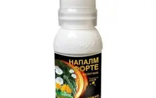 Напалм Форте