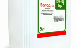 Балор, КЕ (хизалофоп-п-этил, 125 г/л)