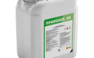 Пропоніт Дуо, КЕ