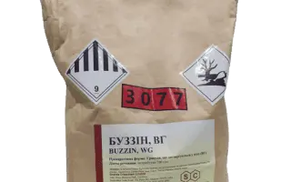 Буззін, ВГ (Buzzin, WG)