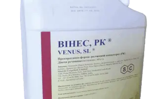 Вінес, РК (Venus, SL)