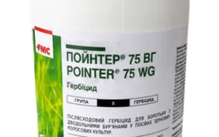 Пойнтер 75 ВГ