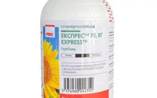 Гриніл, ВГ (трибенурон-метил, 750 г/кг)