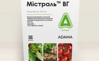 Містраль ТОП, КС