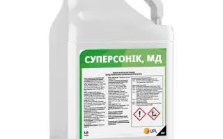 Суперсонік