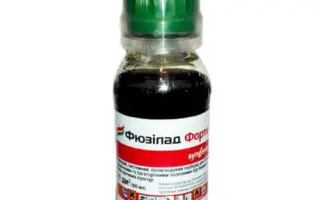 Фюзілад Форте 150 ЕС