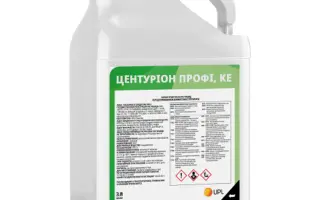 Центуріон Профі