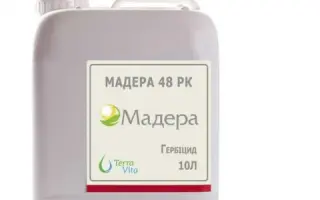 Мадера 48 РК