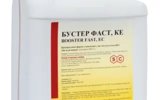 Бустер Фаст, КЕ