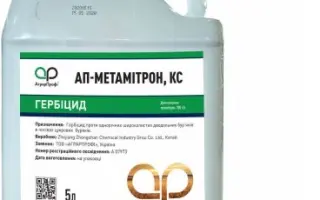 АП-Метамітрон