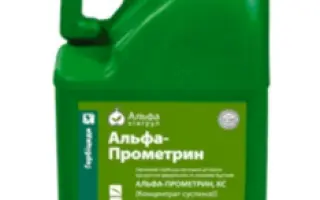 АП-Прометрин