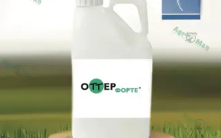 Оттер Форте