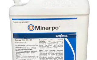 Мілагро 040 SC