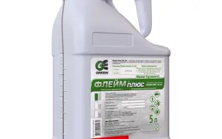 ФЛЕЙМ ПЛЮС SC, КС, гербіцид