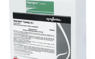 Лонтрел Гранд, ВГ