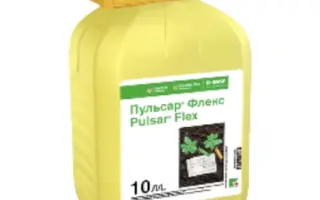 Пульсар Флекс