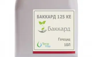 Баккард 125 КЕ, гербіцид