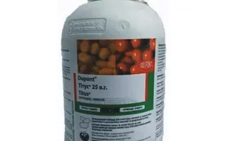 Тітус 25, ВГ, гербіцид