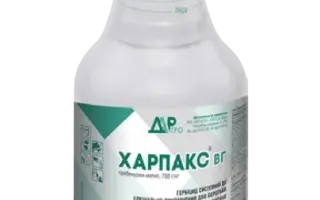 Харпакс, ВГ + ПАР Дар