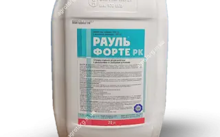 Рауль Форте