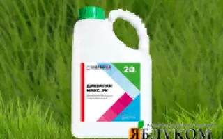 АЙ-МОКС ЕКСТРА (I-MOX XTRA)