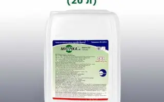 Матріка, КС