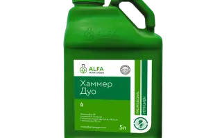 Хаммер Дуо, СЕ