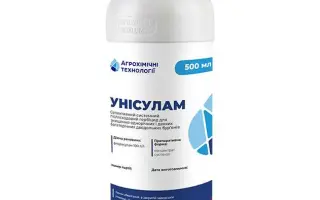 Унісулам, КС