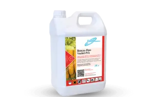 Вождь-Про (VOZHD–PRO)