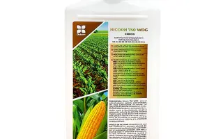 НИКОРН (NICORN)