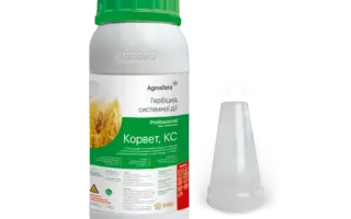 Корвет, КС, гербіцид