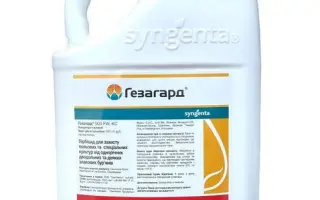 Гаргін 500 FW, КС, гербіцид