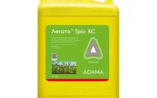 Легато Тріо КС