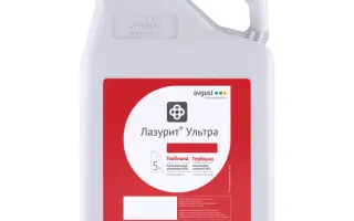 Лазурит Ультра, КС, гербіцид