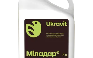 АП-Нікосульфурон