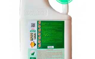 ЦЕРЕРА 459 (CERERE 459)