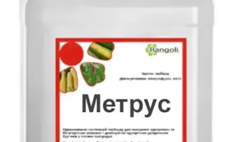 Метрус, КС, гербіцид