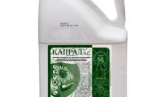 Капрал, КС, гербіцид