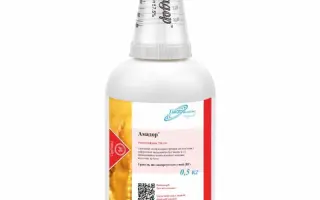 Амадор, ВГ / Amador, WG