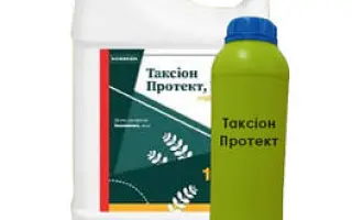 Таксіон Протект