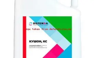 Гіперіон Протект, КС, гербіцид