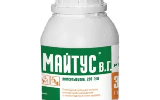 Майтус, РГ, гербіцид