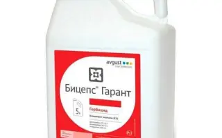 Біцепс Гарант, КЕ, гербіцид